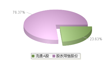 920076(920076)股本结构图