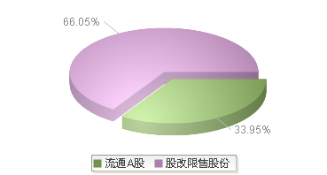 920132(920132)股本结构图