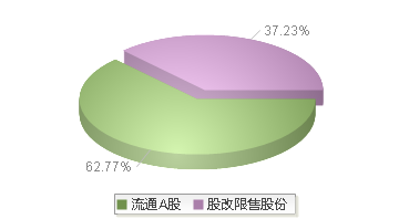 920489(920489)股本结构图