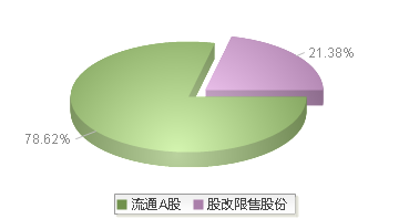 920719(920719)股本结构图